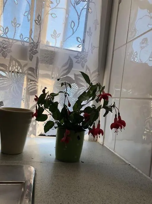 Apartment Carpe Diem Rooms Flat Near Zone 1 London United Kingdom